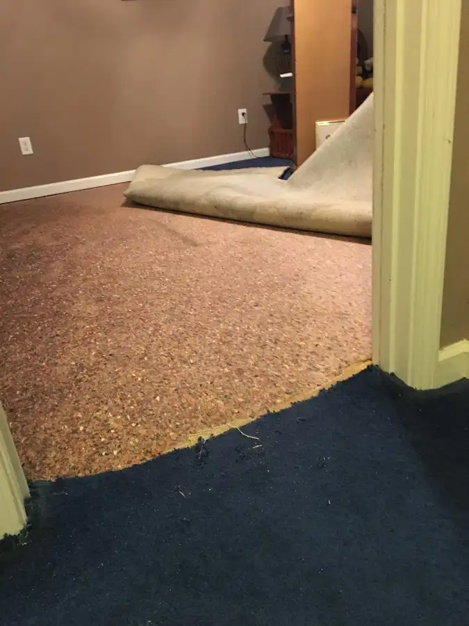 Carpet pad removal revealing water damage during Drying & Dehumidification in Campbellsville