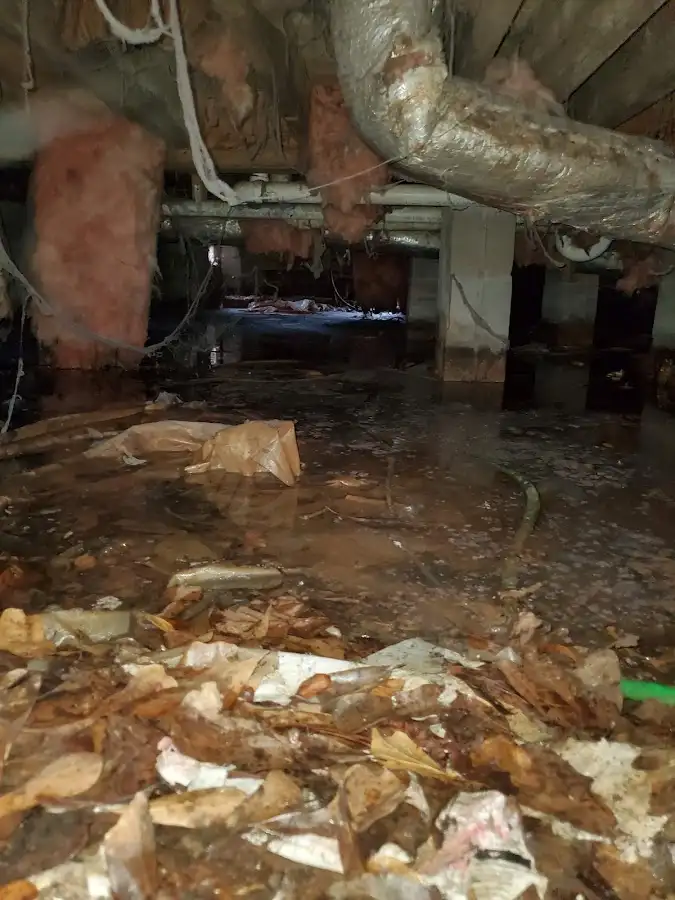 Crawl space flood assessment for Commercial Water Damage Restoration in Campbellsville