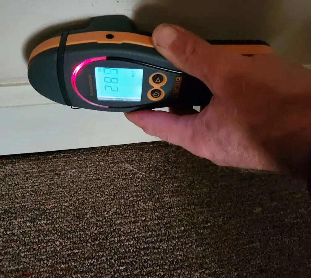 Moisture detection at baseboard during Mold Inspection & Testing in Campbellsville